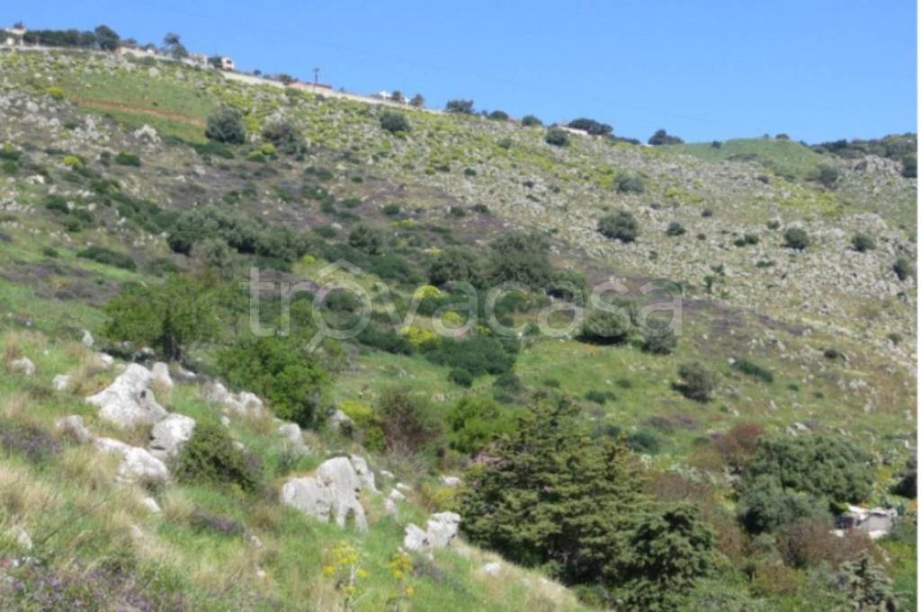 terreno agricolo in vendita a Palermo