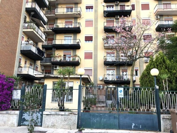 appartamento in vendita a Palermo in zona San Lorenzo