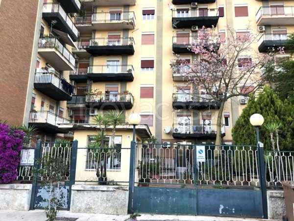 appartamento in vendita a Palermo in zona San Lorenzo