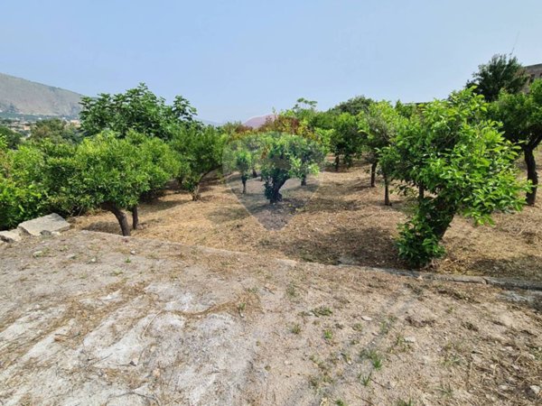 terreno agricolo in vendita a Palermo in zona Villagrazia/Falsomiele