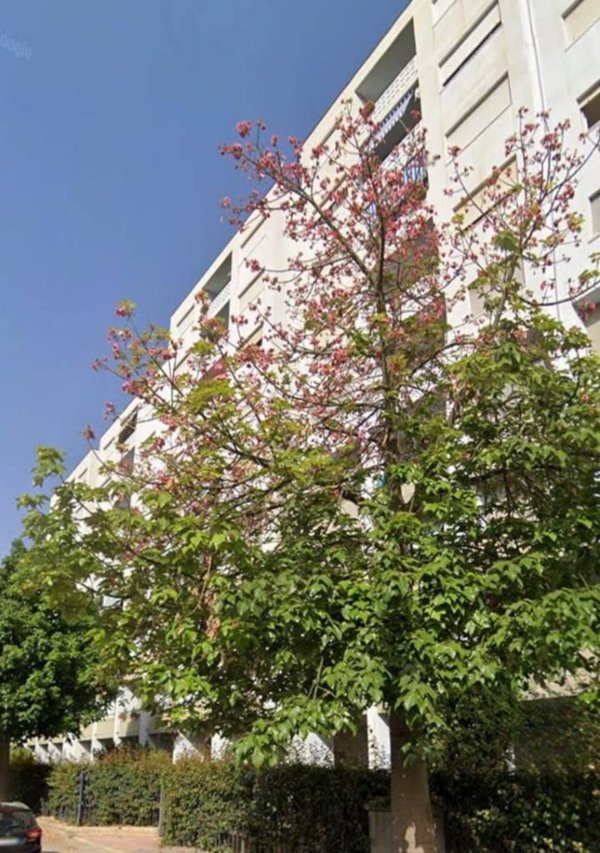appartamento in vendita a Palermo in zona Croceverde