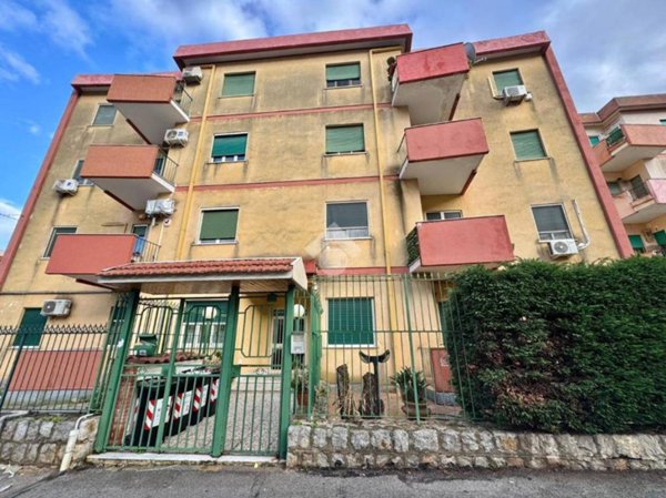 appartamento in vendita a Palermo in zona Borgo Nuovo