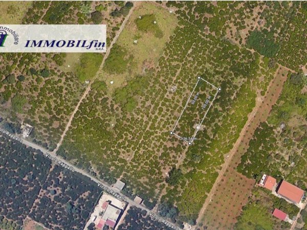 terreno agricolo in vendita a Palermo in zona Ciaculli