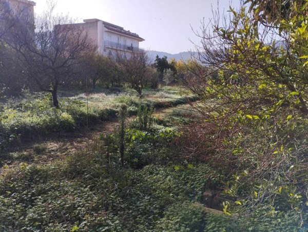 terreno agricolo in vendita a Palermo in zona Ciaculli
