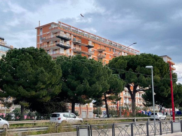 appartamento in vendita a Palermo in zona Calatafimi / Cuba