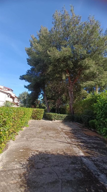 casa indipendente in vendita a Palermo in zona Borgo Nuovo