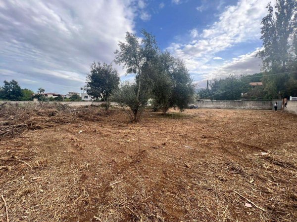 terreno agricolo in vendita a Palermo in zona Calatafimi / Cuba