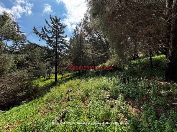 terreno agricolo in vendita a Palermo in zona Uditore