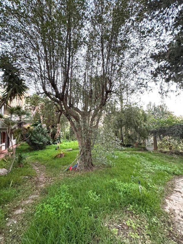 appartamento in vendita a Palermo in zona Partanna