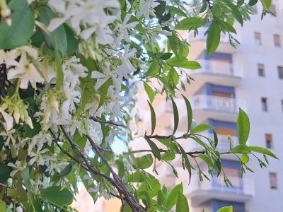 appartamento in vendita a Palermo in zona Libertà