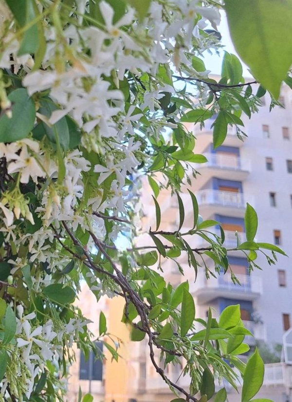 appartamento in vendita a Palermo in zona Libertà