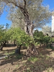 casa indipendente in vendita a Palermo in zona Villagrazia/Falsomiele