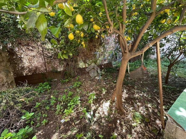 appartamento in vendita a Palermo in zona Noce