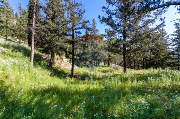 terreno agricolo in vendita a Palermo in zona Borgo Nuovo