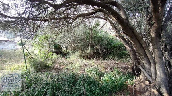 terreno agricolo in vendita a Palermo in zona Mondello