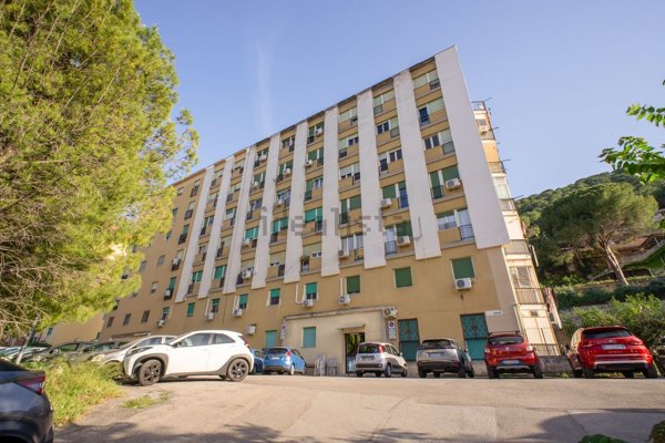 appartamento in vendita a Palermo in zona Boccadifalco
