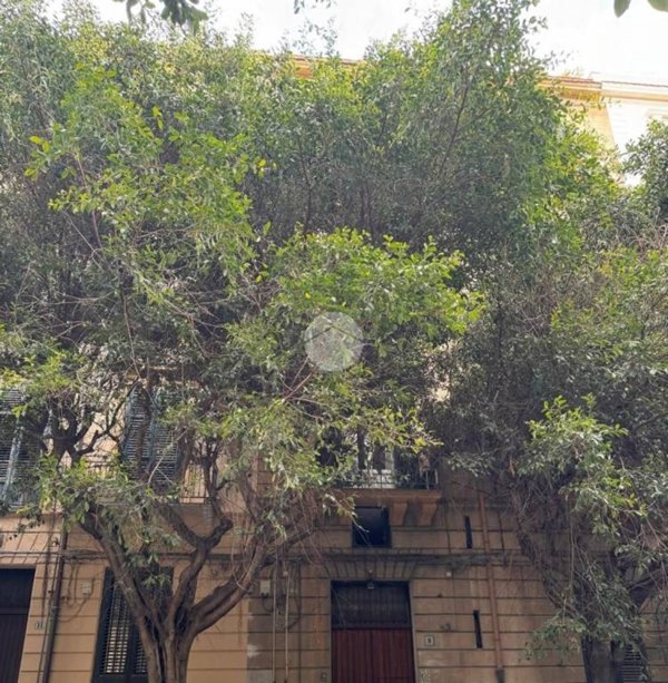 appartamento in vendita a Palermo in zona Zisa