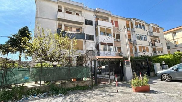 appartamento in vendita a Palermo in zona Borgo Nuovo