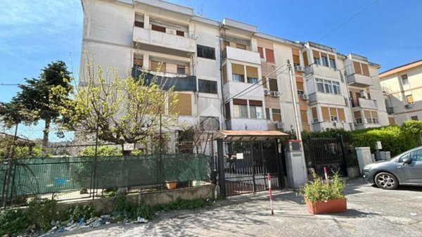 appartamento in vendita a Palermo in zona Borgo Nuovo