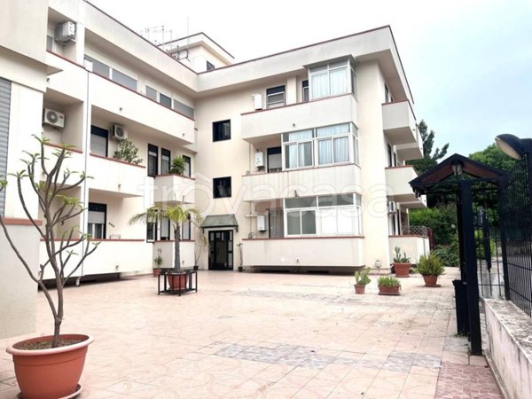 appartamento in vendita a Palermo in zona Centro storico