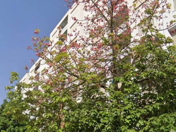 appartamento in vendita a Palermo in zona Settecannoli