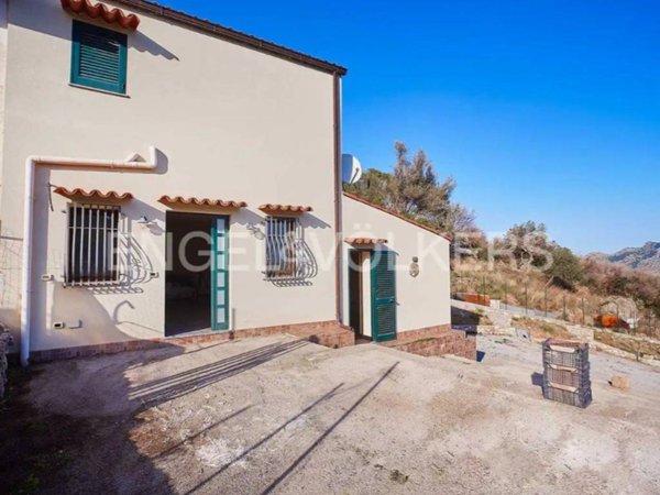 casa indipendente in vendita a Palermo in zona Tommaso Natale