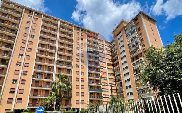 appartamento in vendita a Palermo in zona Borgo Nuovo