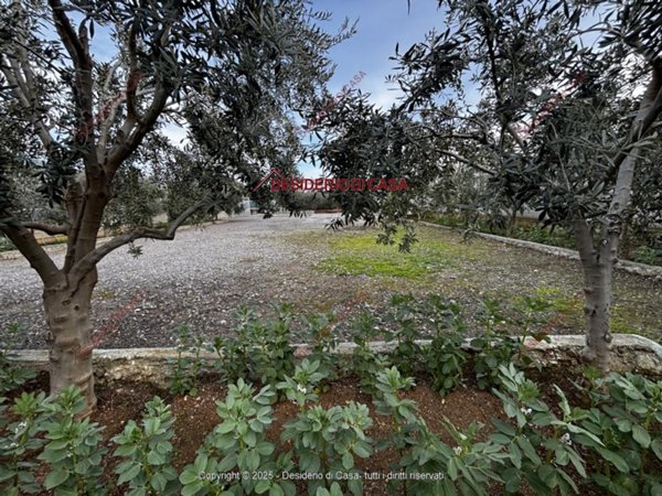 terreno agricolo in vendita a Palermo in zona Borgo Nuovo