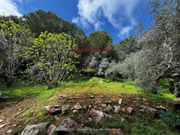 terreno agricolo in vendita a Palermo in zona Cruillas