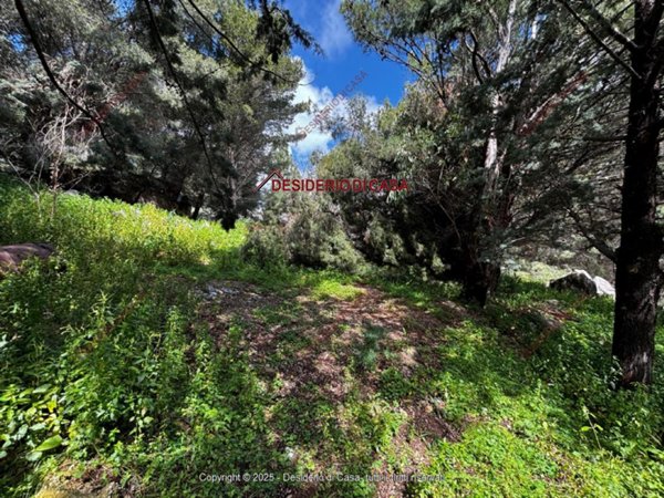terreno agricolo in vendita a Palermo in zona Borgo Nuovo