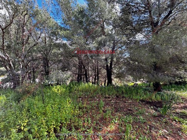 terreno agricolo in vendita a Palermo in zona Borgo Nuovo