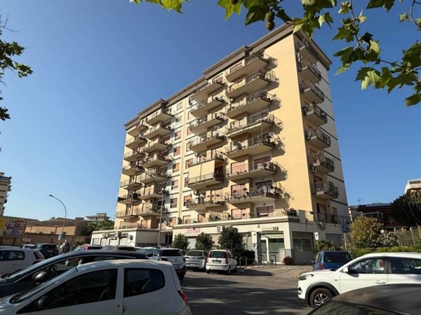 appartamento in vendita a Palermo in zona San Lorenzo