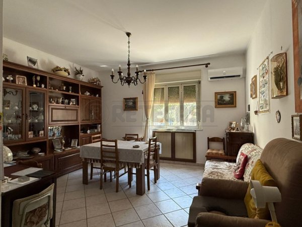 appartamento in vendita a Palermo in zona Partanna