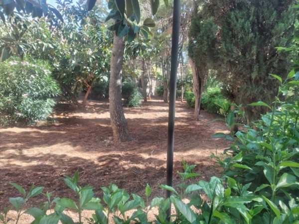 appartamento in vendita a Palermo in zona San Lorenzo