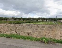 terreno agricolo in vendita a Palermo in zona Malaspina/Palagonia