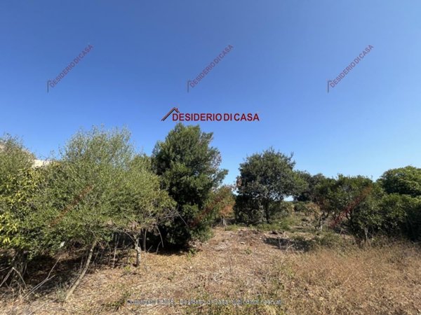 terreno agricolo in vendita a Palermo in zona Ciaculli
