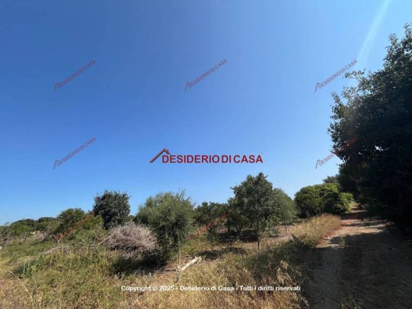terreno agricolo in vendita a Palermo in zona Ciaculli
