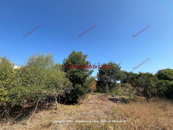 terreno agricolo in vendita a Palermo in zona Croceverde
