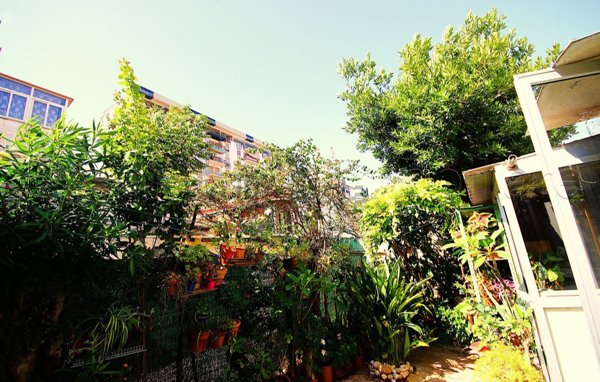 appartamento in vendita a Palermo in zona San Lorenzo