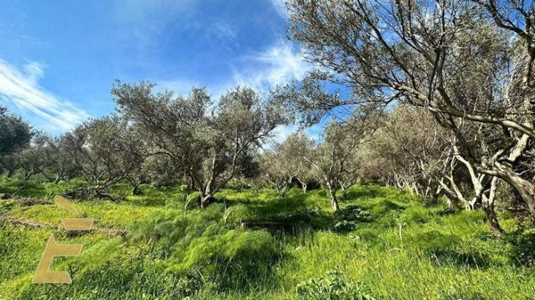 terreno agricolo in vendita a Palermo in zona Cruillas