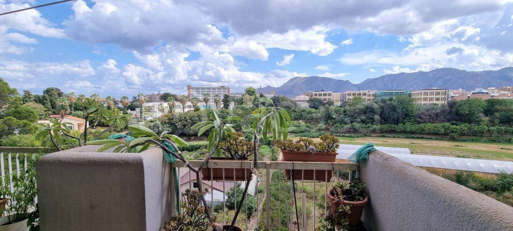 appartamento in vendita a Palermo in zona Centro storico