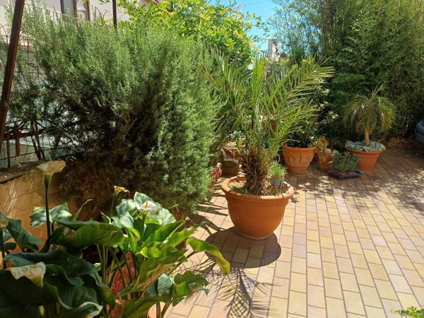appartamento in vendita a Palermo in zona Borgo Nuovo