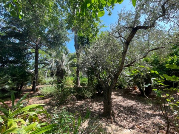 casa indipendente in vendita a Palermo in zona Borgo Nuovo