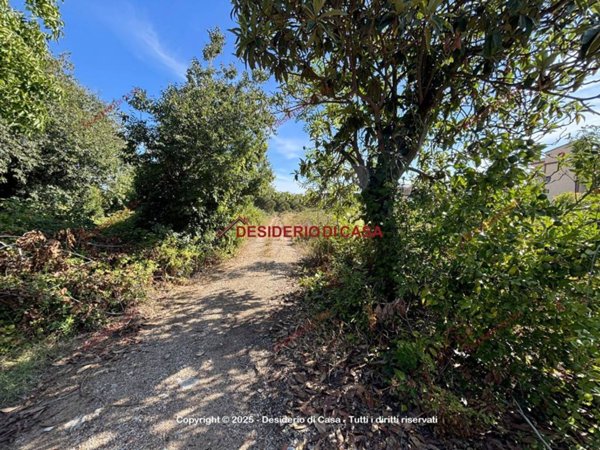 terreno agricolo in vendita a Palermo in zona Settecannoli