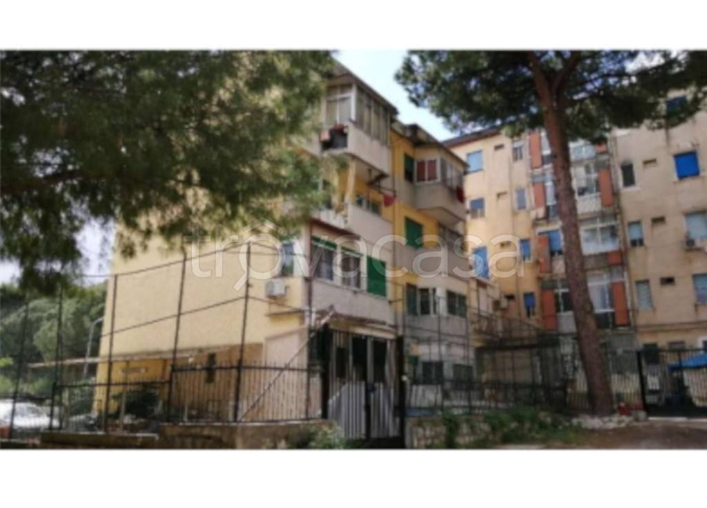 appartamento in vendita a Palermo in zona Borgo Nuovo