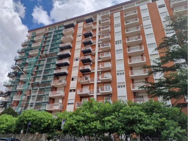 appartamento in vendita a Palermo in zona Borgo Nuovo