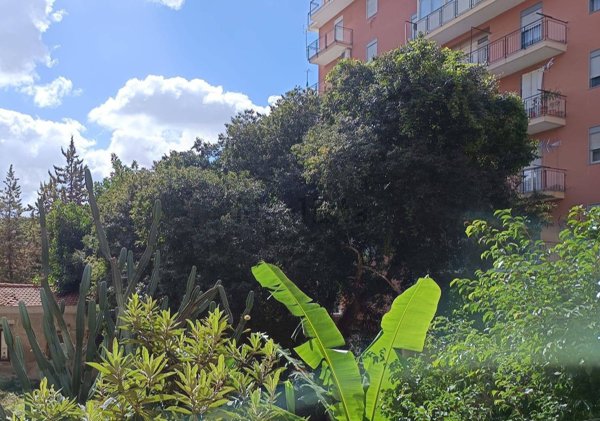 appartamento in vendita a Palermo in zona Calatafimi / Cuba