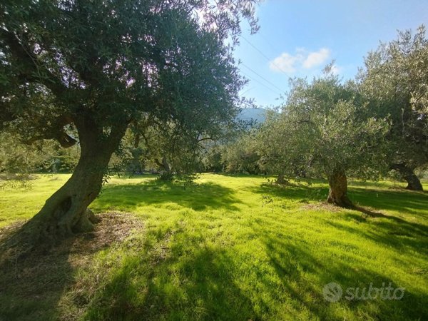 terreno agricolo in vendita a Palermo