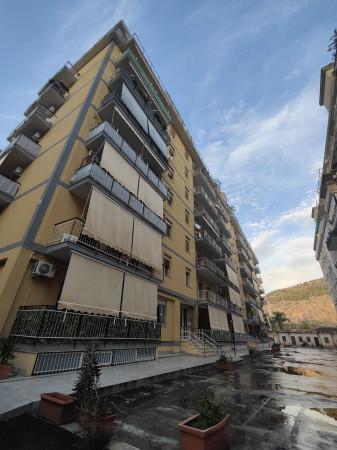 appartamento in vendita a Palermo in zona San Lorenzo