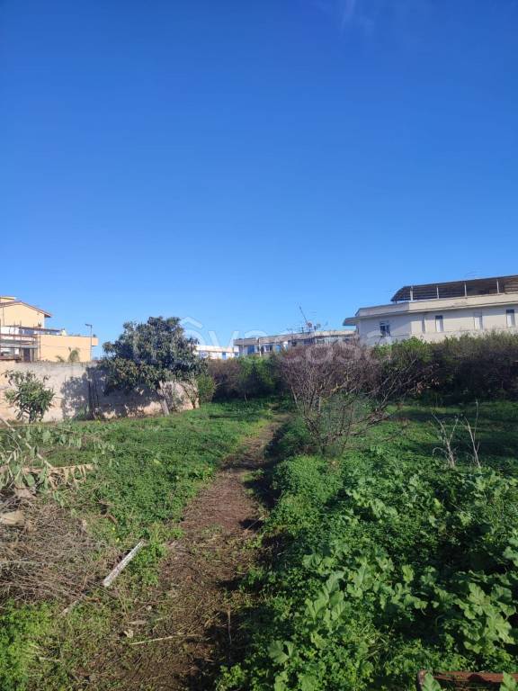terreno agricolo in vendita a Palermo in zona Acqua dei Corsari